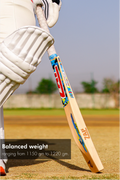 ZAP Gun Carbine 10000 English Willow Cricket Bat (Grade 2)